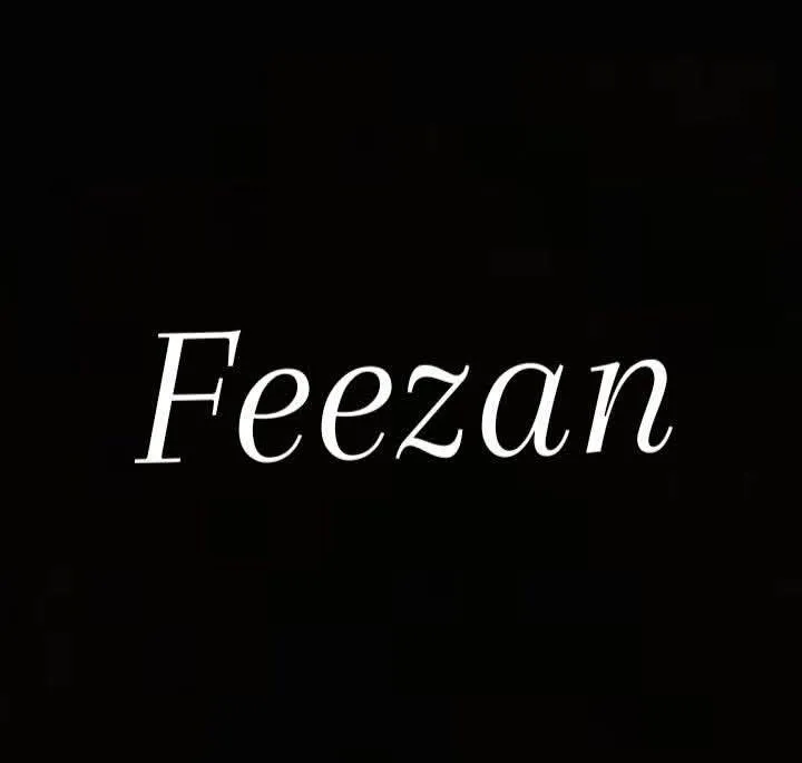 FEEZAN ACCESSORIES