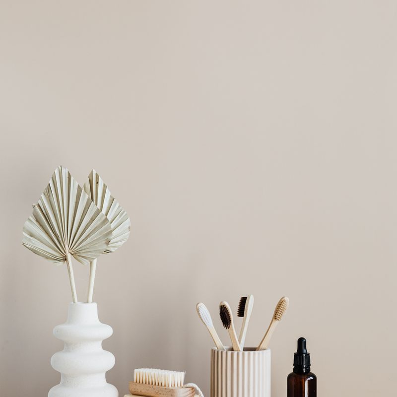 Bamboo Toothbrush Set
