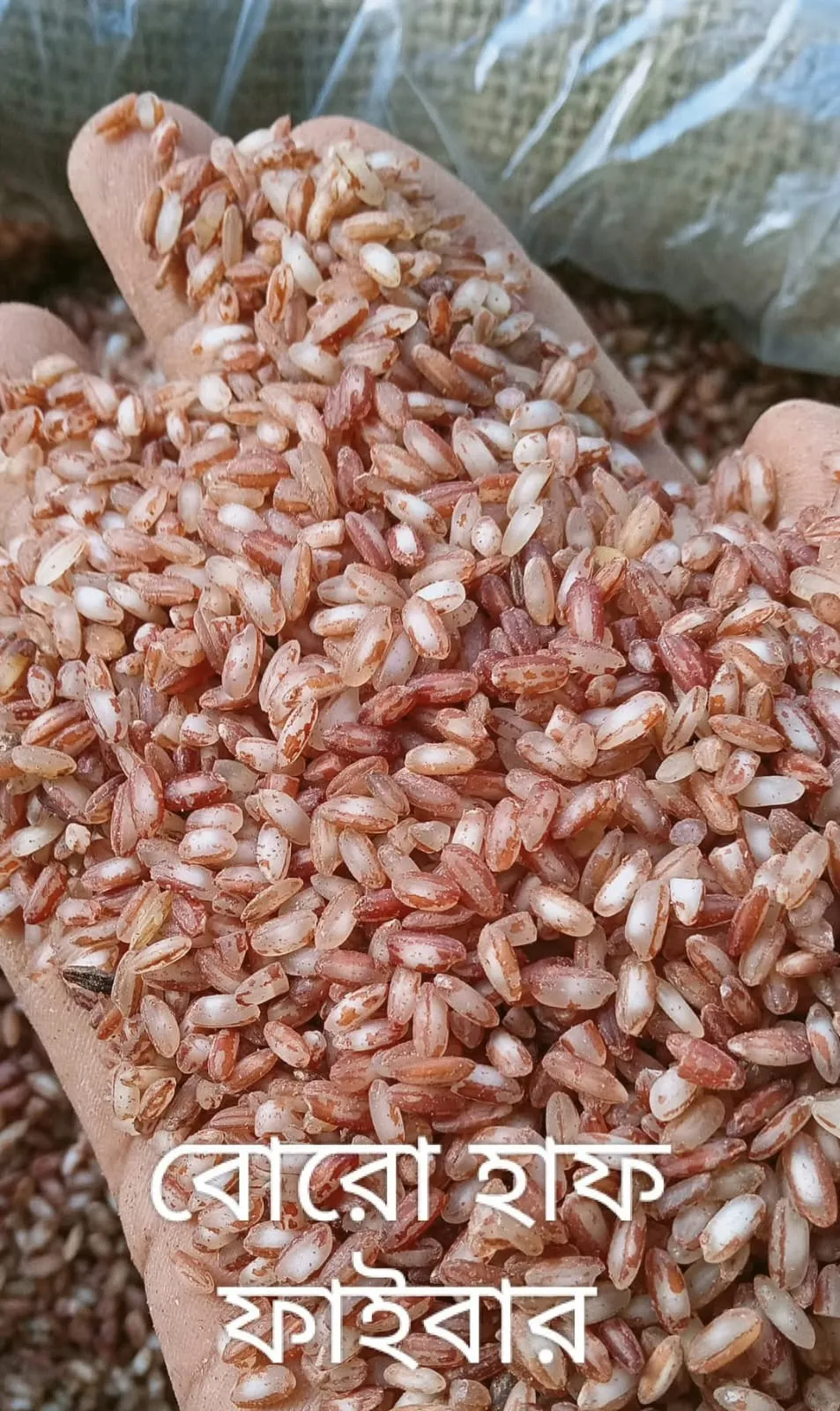 Amon Half Fibre Red Rice (Lal Chal)