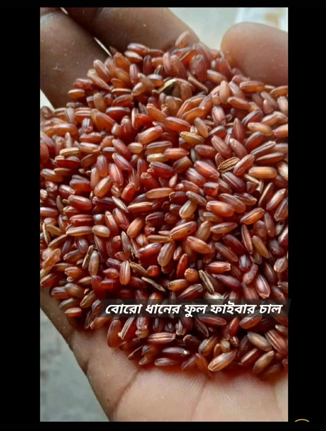 Amon Full Fibre Red Rice (Lal Chal)