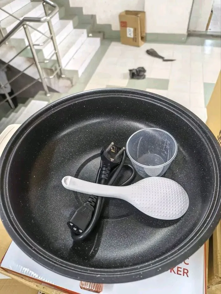 Electric Milty cooker