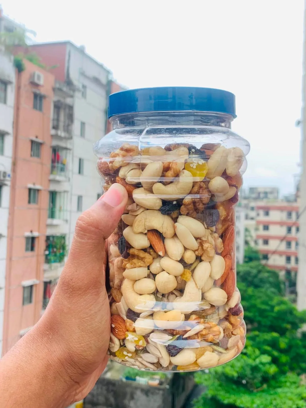 মিক্স ড্রাই ফ্রুটস
