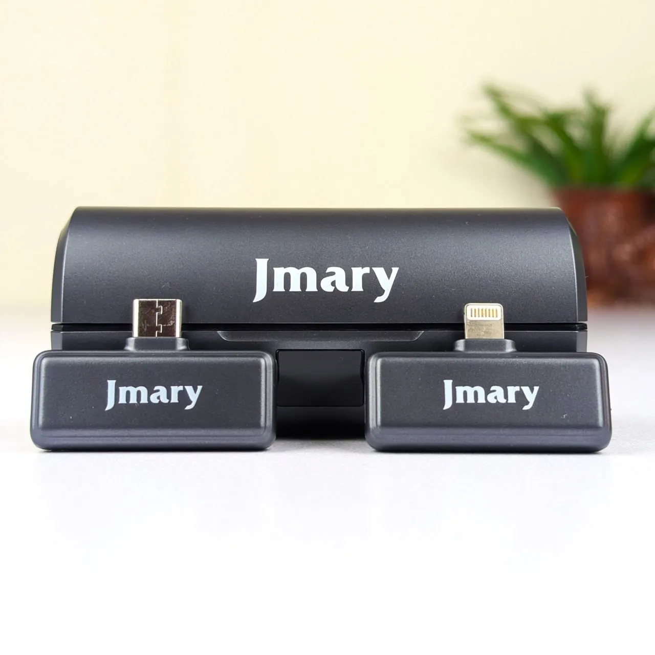 Jmary MW-19 Dual Wireless Mic
